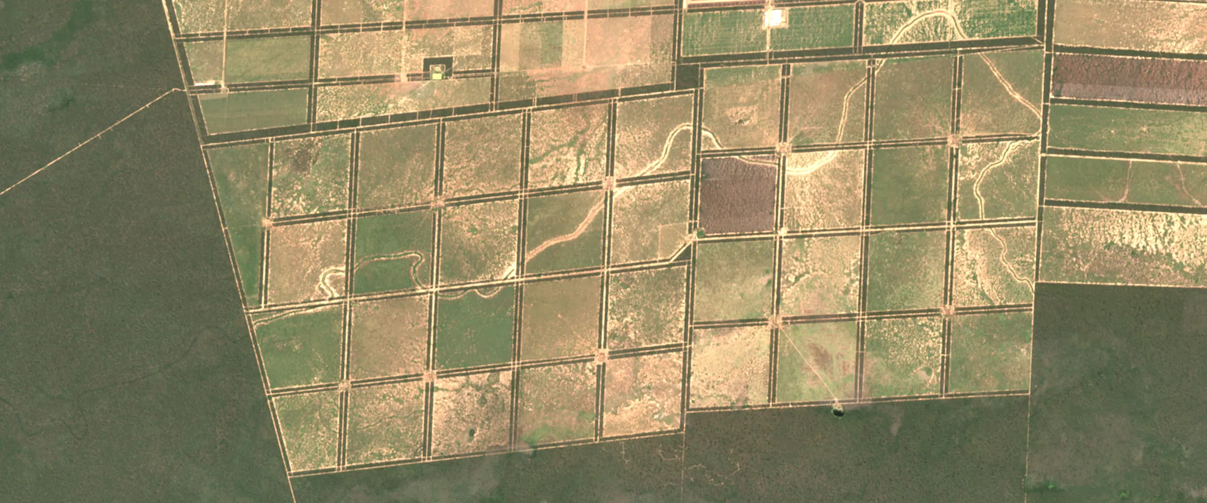 Satellite image: square paddocks cut out of dry forest, with strips of forest left between them