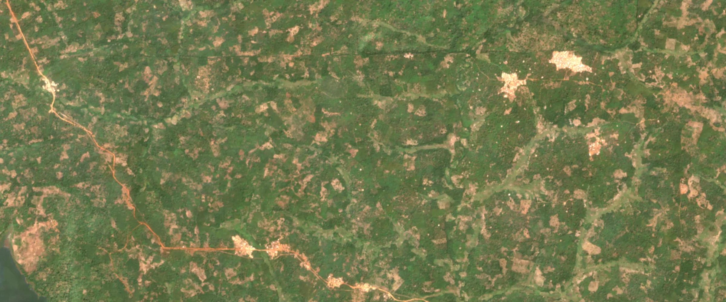 Satellite image: a patchwork of small cocoa farms with trees left standing, a red dirt road across it