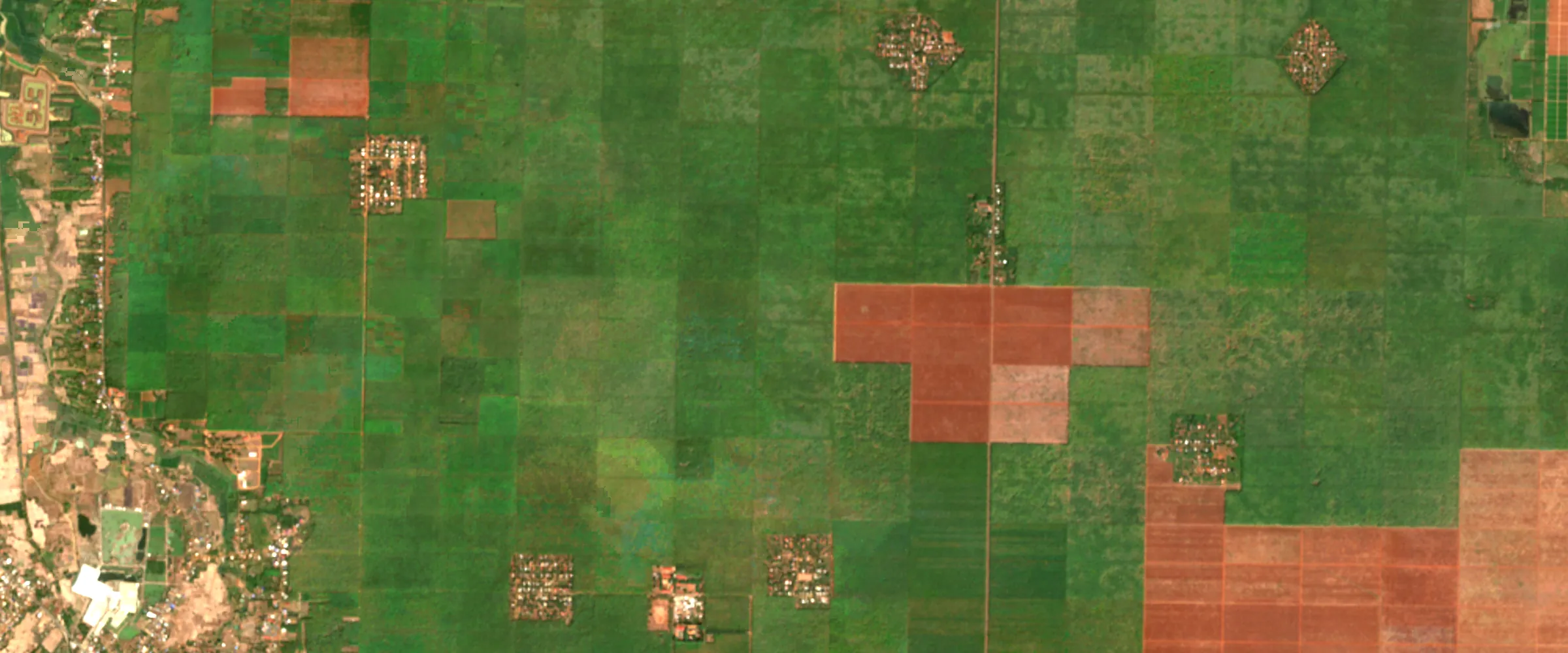 Satellite image: a rubber plantation laid out in square blocks, a few blocks cleared to bare red soil