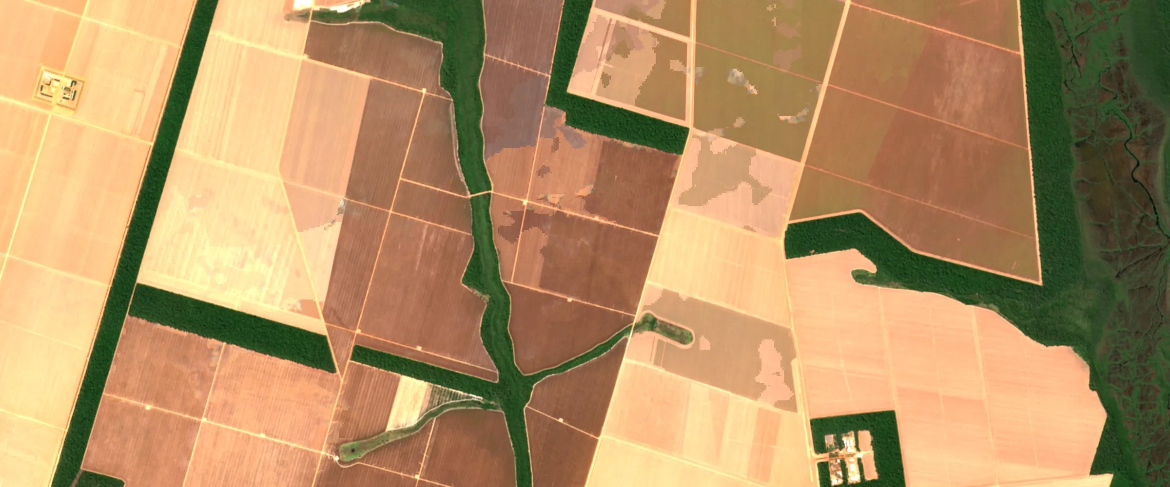Satellite image: large soy fields with narrow strips of forest running between them