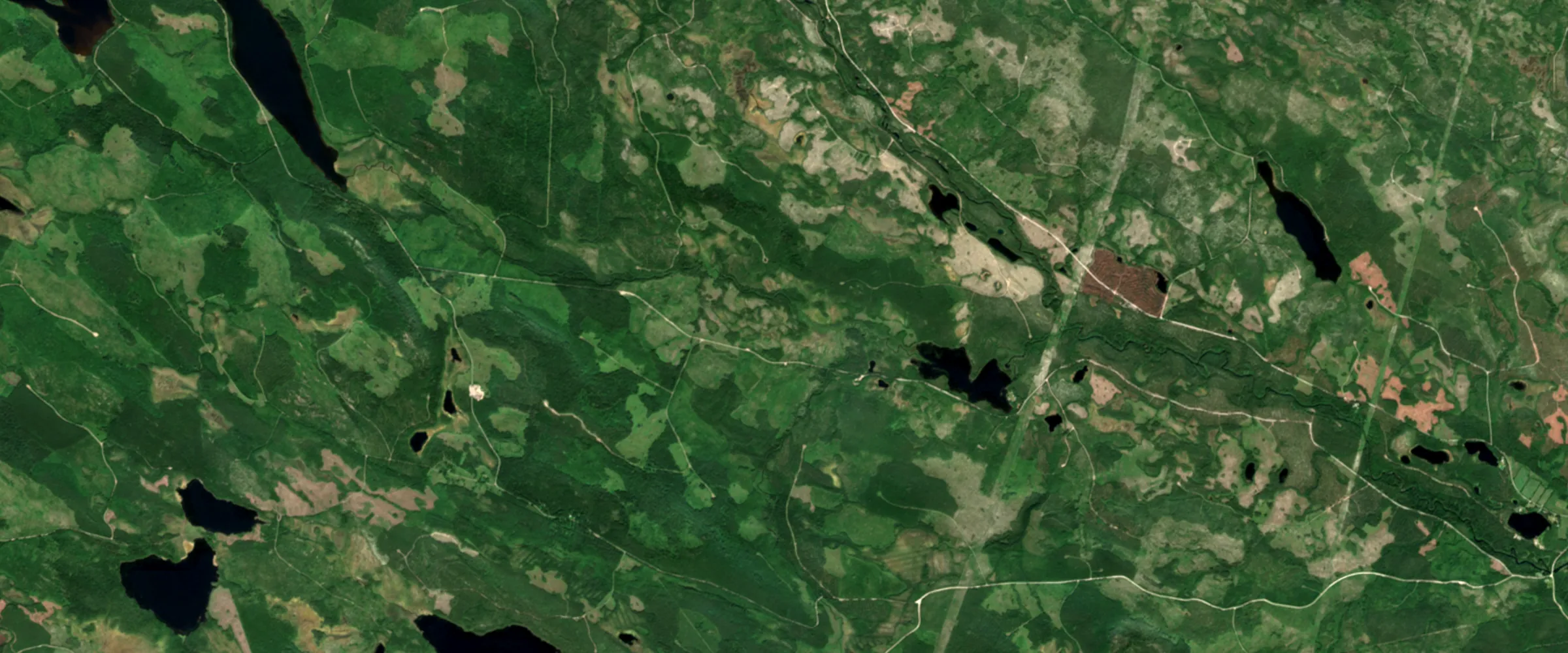 Satellite image: boreal forest with lakes and lighter patches where trees were felled