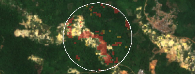 Satellite image of the same Ghana cocoa plot after the cutoff, with the screening boundary and detected change shown
