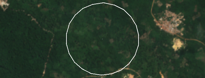 Satellite image of a Ghana cocoa plot before the cutoff, with the screening boundary shown